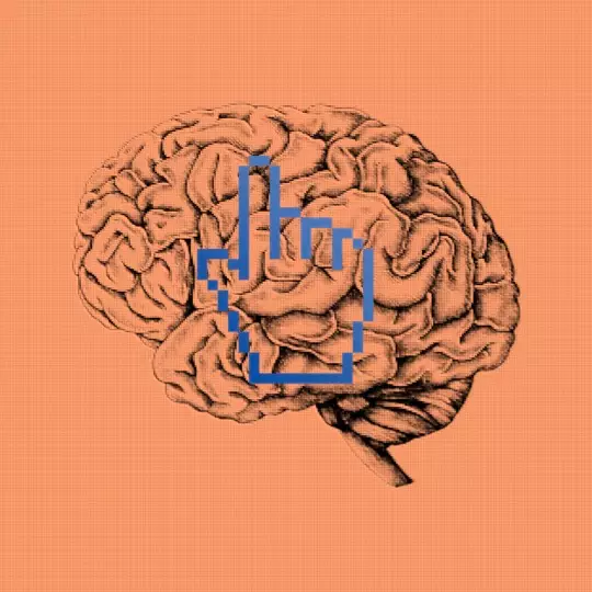 What Silicon Valley needs to know about the brain, and what it doesn't