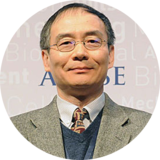 Yihong Yang, PhD