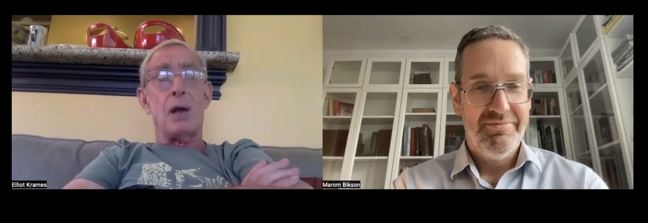 Marom Bikson interviews: Harold Sackeim on “Wired for Depression”